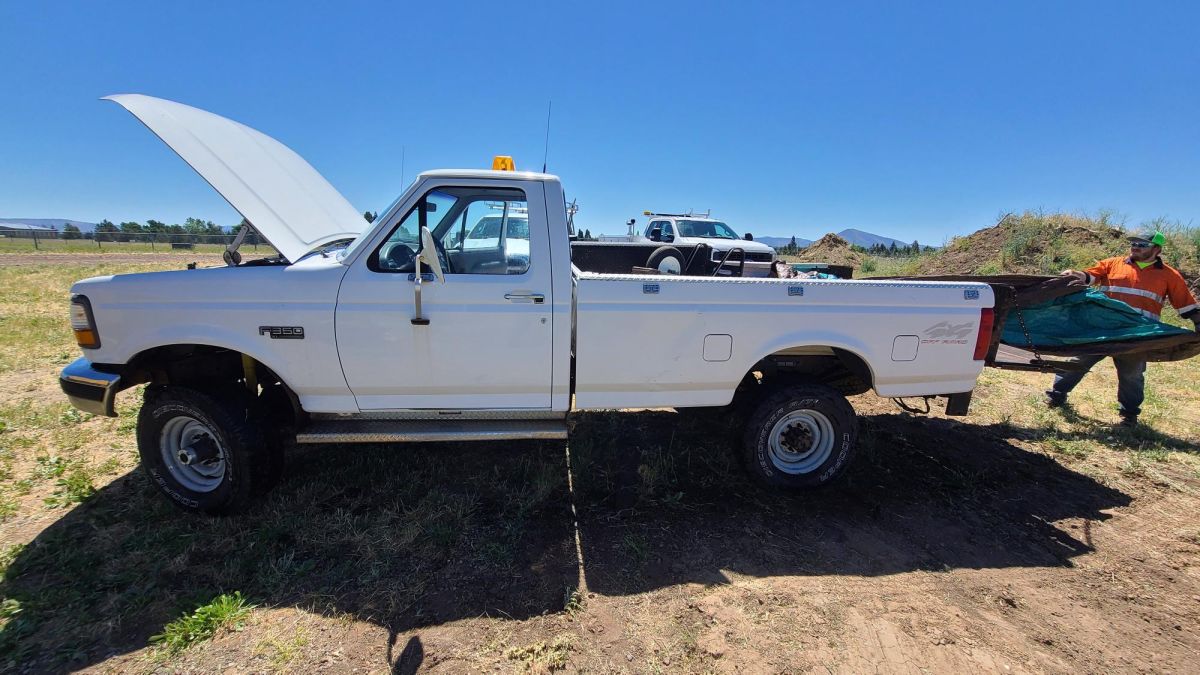 White Ford Truck