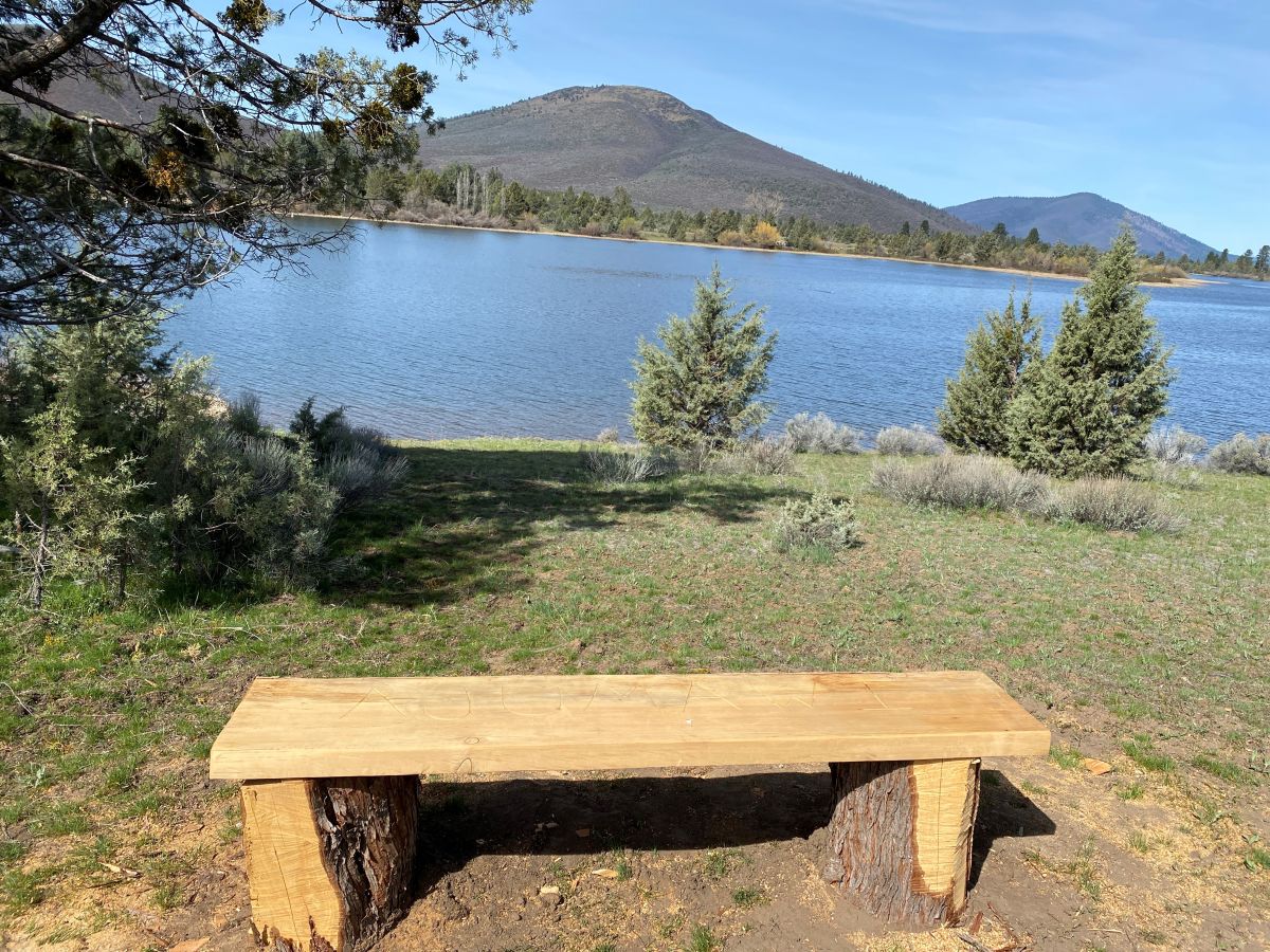 Bench overlooking water