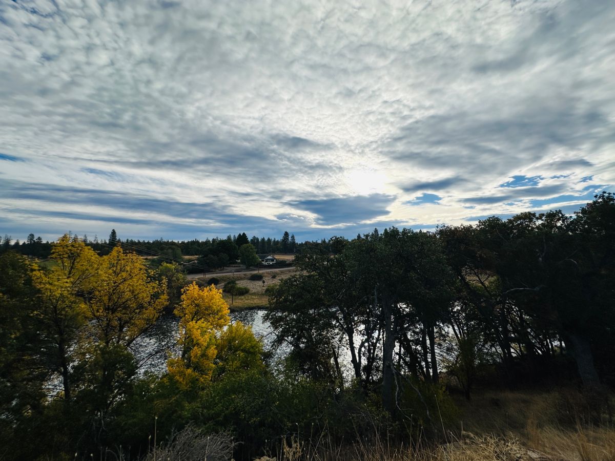 Water Trees Sky