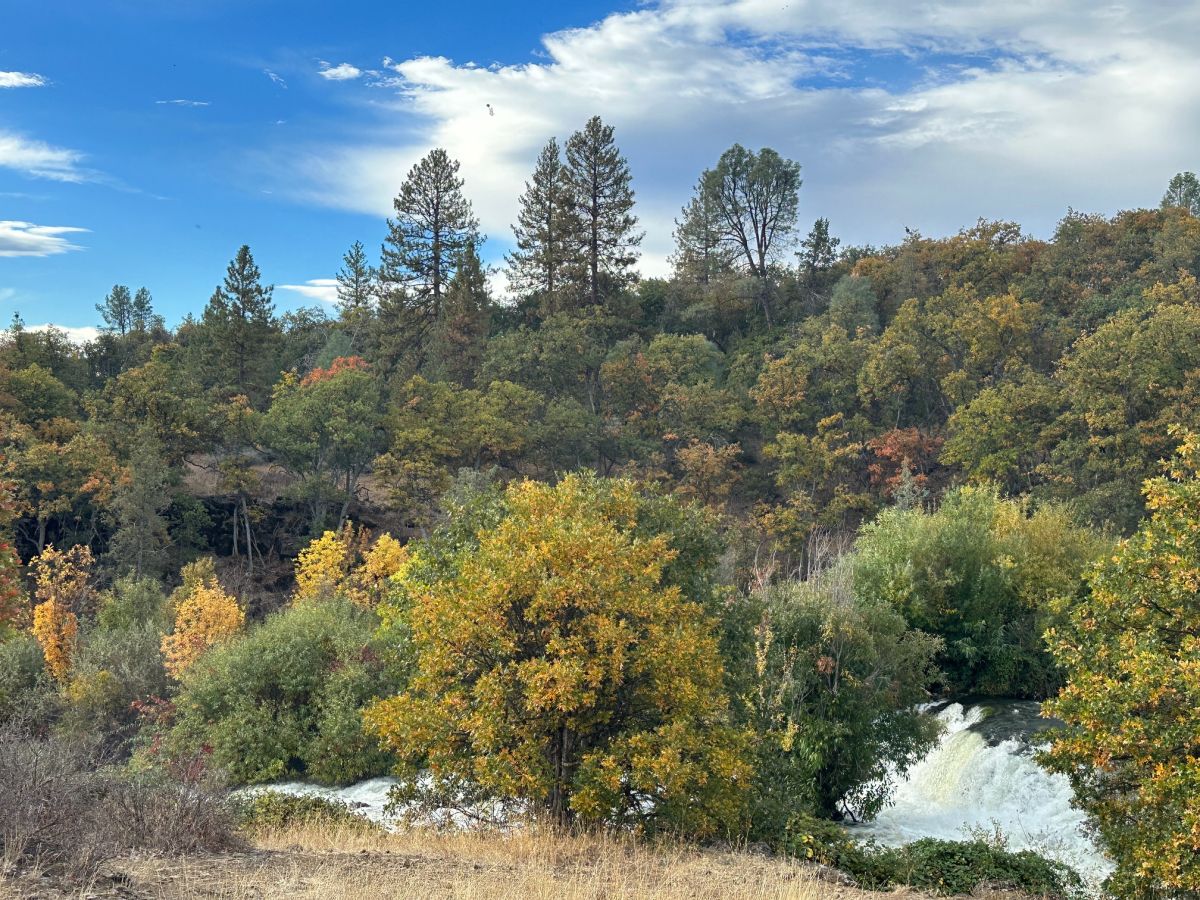 Fall Trees, Waterfall